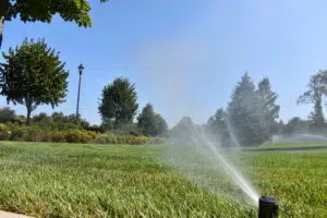 POV from behind an active sprinkler performing basic summer irrigation