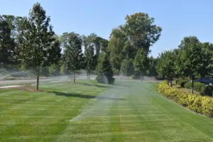 Active sprinklers on a lush green lawn, demonstrating one of many options for summer irrigation